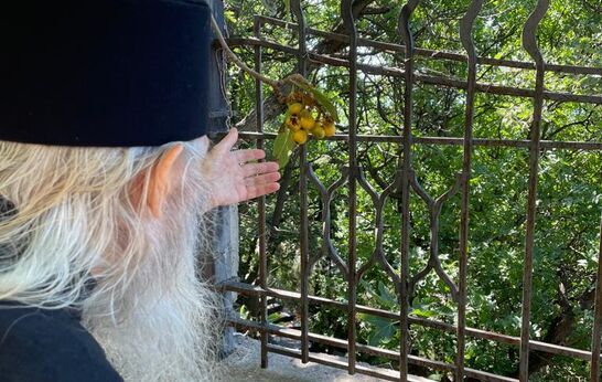 Схиархимандрит Илий (Ноздрин) молится в святых местах Крыма.