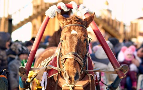 В «Вятском Посаде» широко отпраздновали Рождество Христово