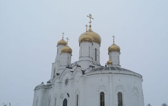 Схиархимандрит Илий (Ноздрин) совершил Божественную Литургию в Богоявленском соборе города Козельска.