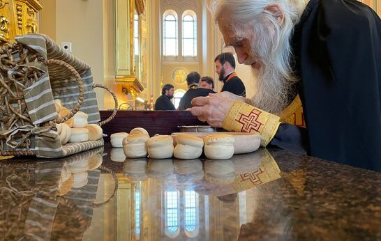Схиархимандрит Илий (Ноздрин) и Геннадий Николаевич Цурков молились за Богослужением в Ростове-на-Дону.
