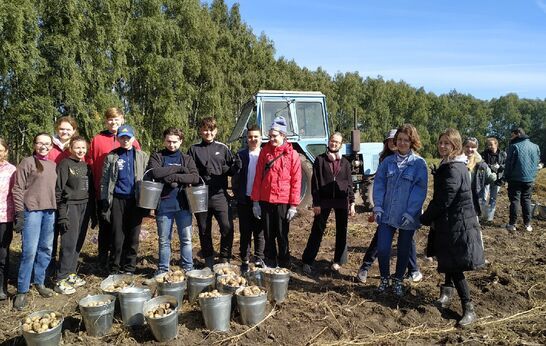 Старшеклассники Православной гимназии имени Преподобного Алексия 7 и 8 сентября возродили традицию сбора урожая.