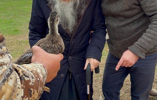 Восстановление баланса дикой природы. 