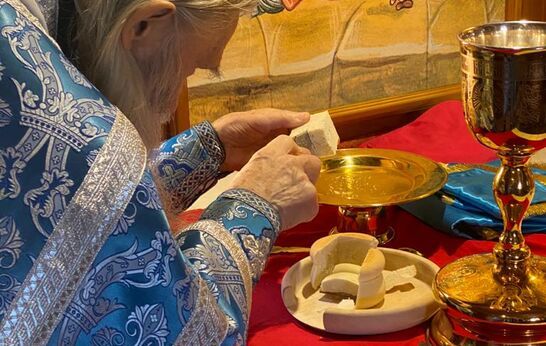 Схиархимандрит Илий (Ноздрин) отслужил Божественную литургию в честь Благовещения Пресвятой Богородицы.