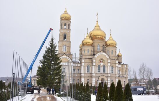 Вятский Посад встретил величественную новогоднюю ель.