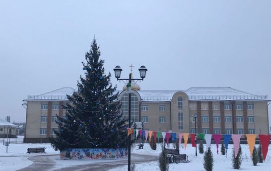 Чудо-ель  и сказочная горка в Вятском Посаде