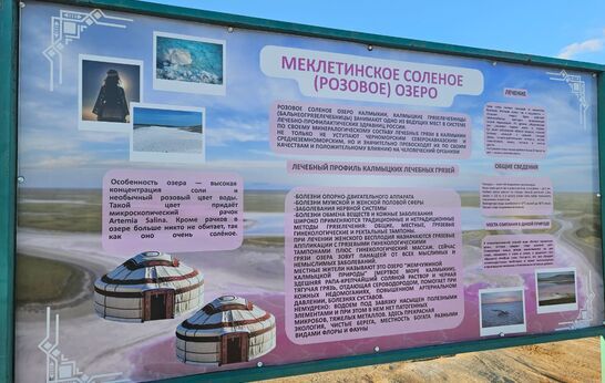 Сотрудники 